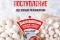 Сеть продуктовых магазинов от завода производителя 1